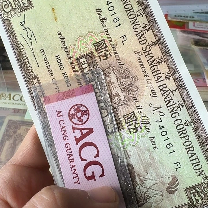 流通的161……………………