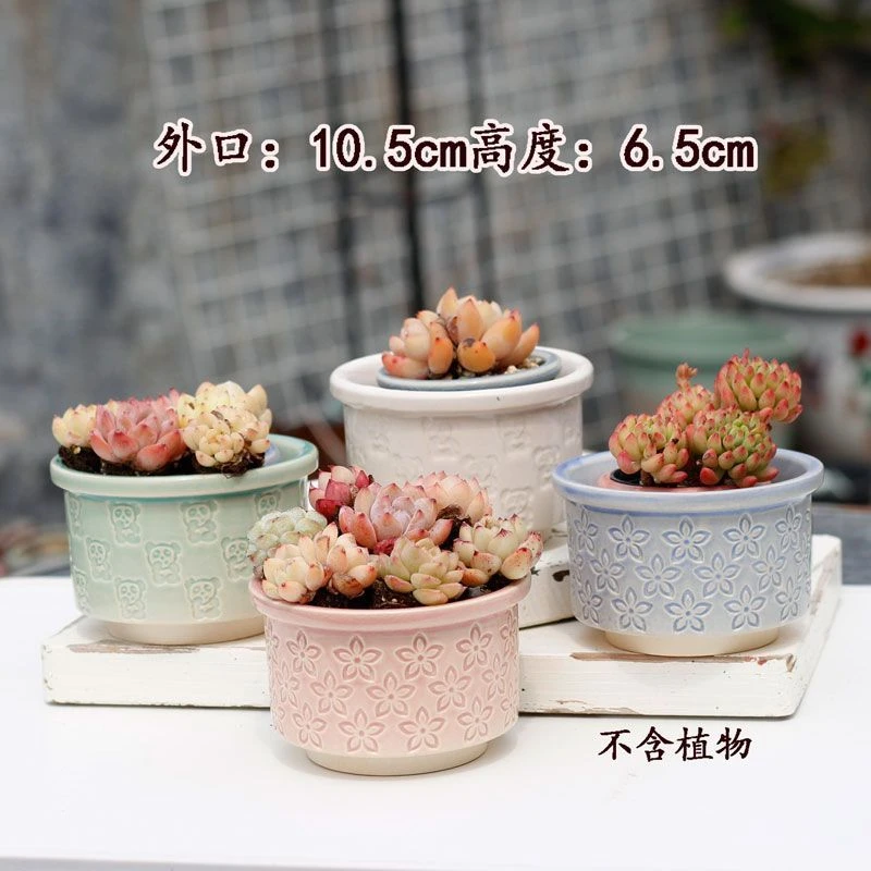 大号印章手工拉坯多肉花盆 印花工艺 透气控型 桌面多肉种植盆