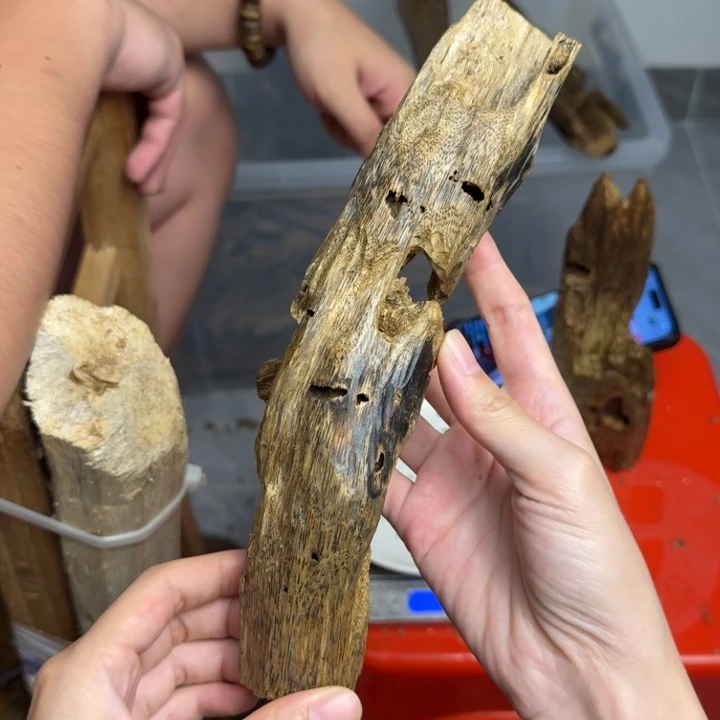 沉香沉香碎屑白棋107克