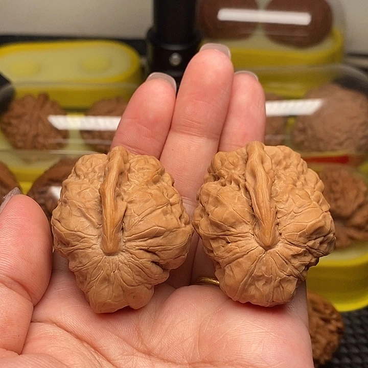 46一帆风顺