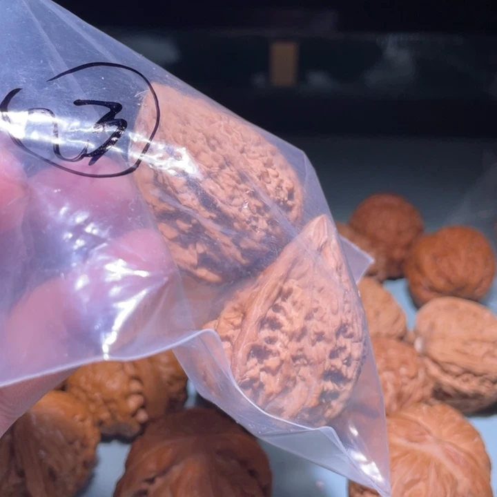 尔****文玩核桃吊坠23呃呃呃
