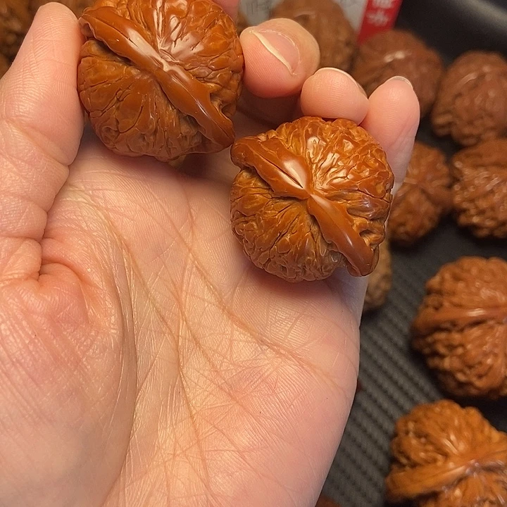 木质类35白狮子。