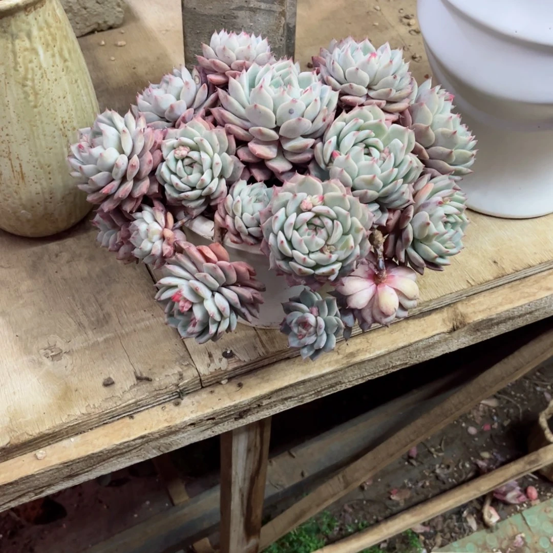 你是否还记得你曾经说