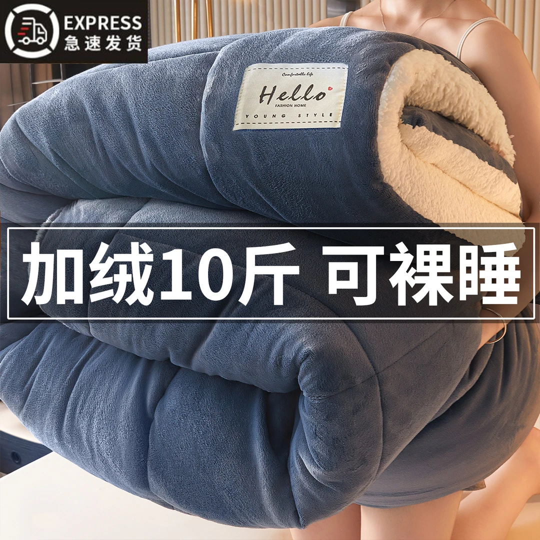 羊羔绒被子2025新款冬季棉被被芯冬天单人宿舍秋冬被加厚保暖10斤