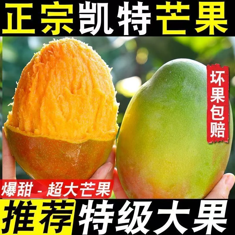 攀枝花凯特芒果大芒果一整箱爆甜多汁L