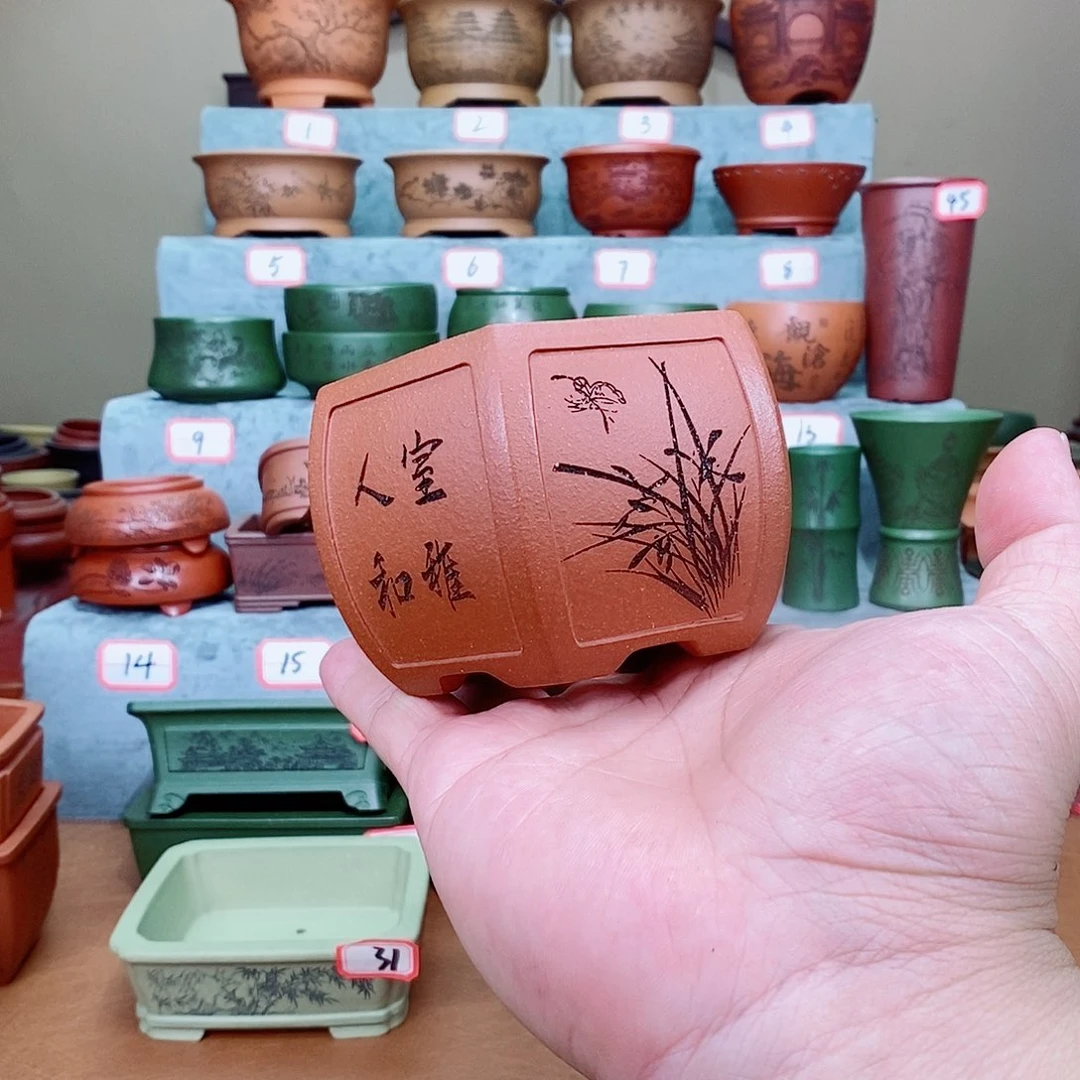 紫砂花盆随*！我在看书