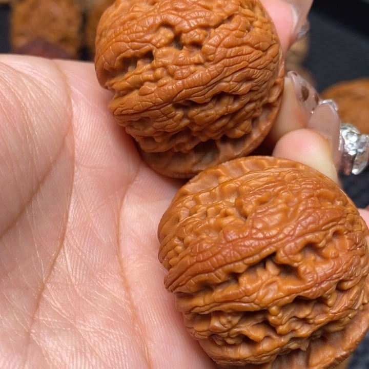 秦岭野生900000000051