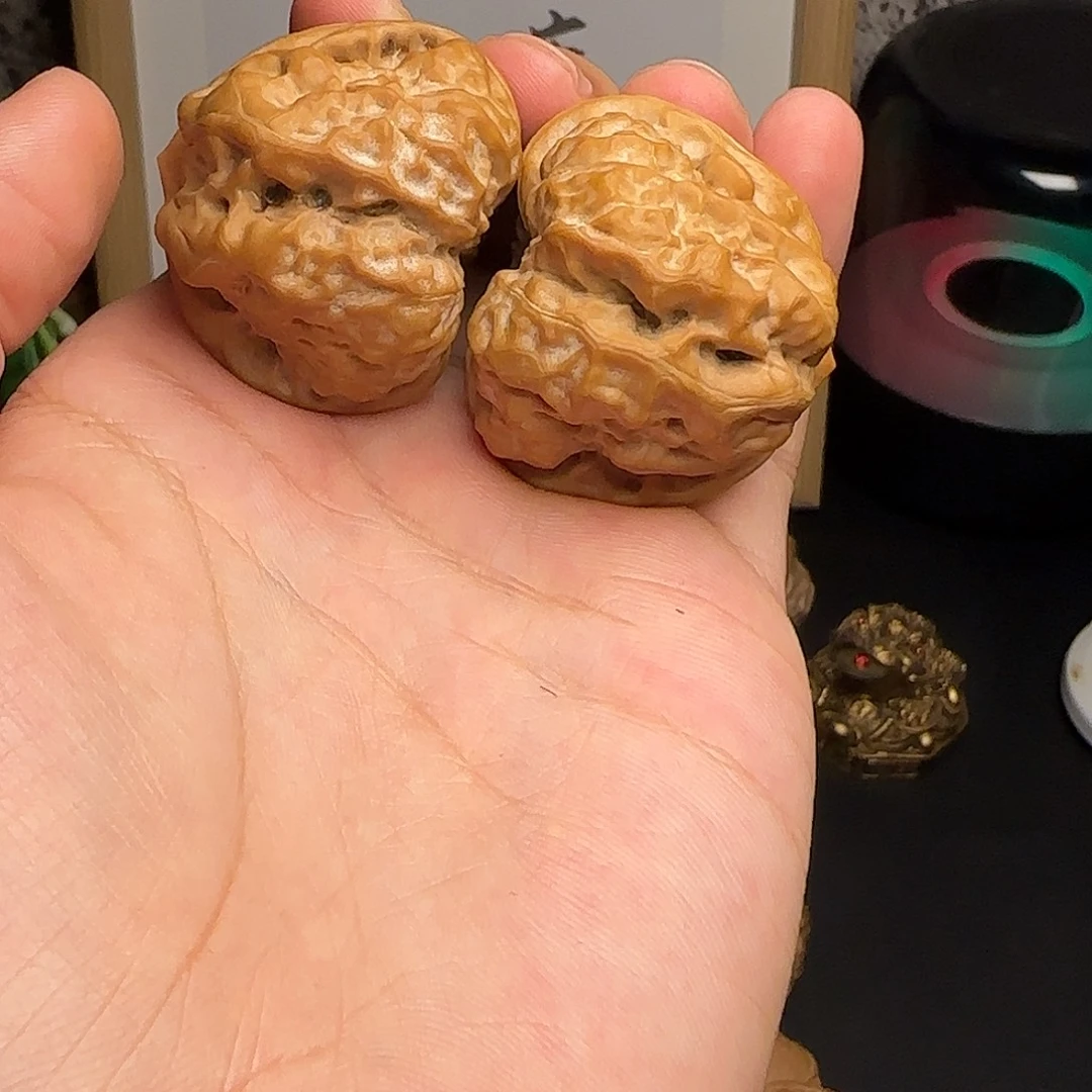 达****41✖️43红皮蛤蟆头