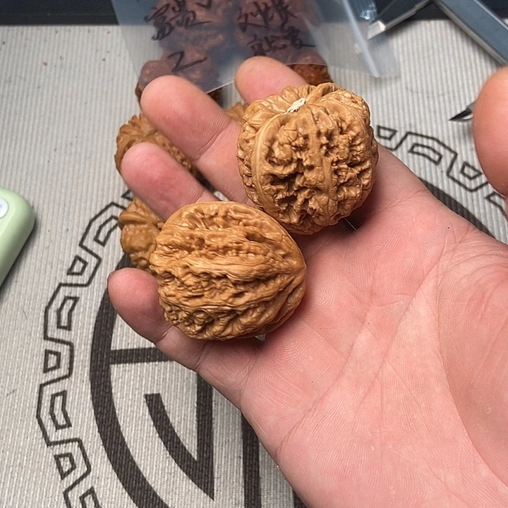 ?**贵核桃树和红石榴是我们共同