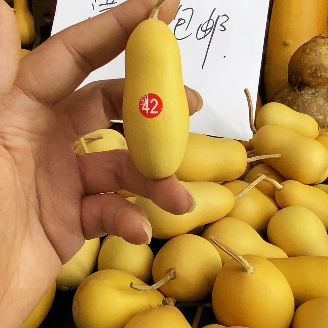 直播间链接，文玩葫芦
