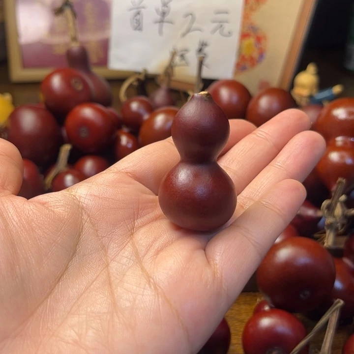 荷*你好5858659999