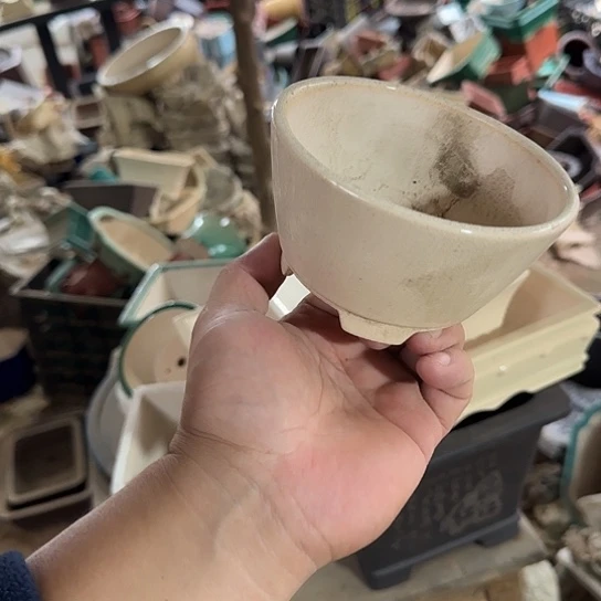 是一个集休闲农业的休闲胜地以及现代