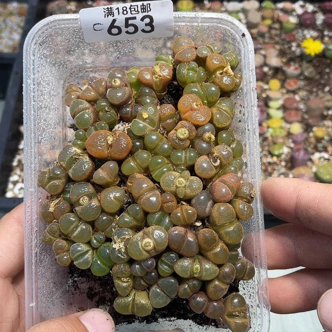 当天凑满十八元包邮653