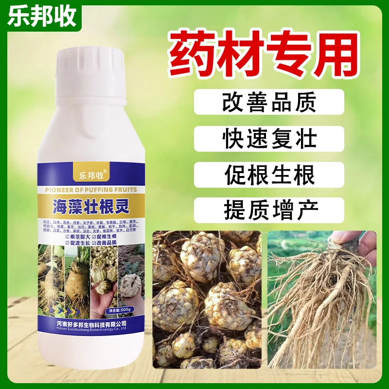药材海藻壮根灵药材生根壮苗膨大黄芩人参丹参白芷白术等专用肥料