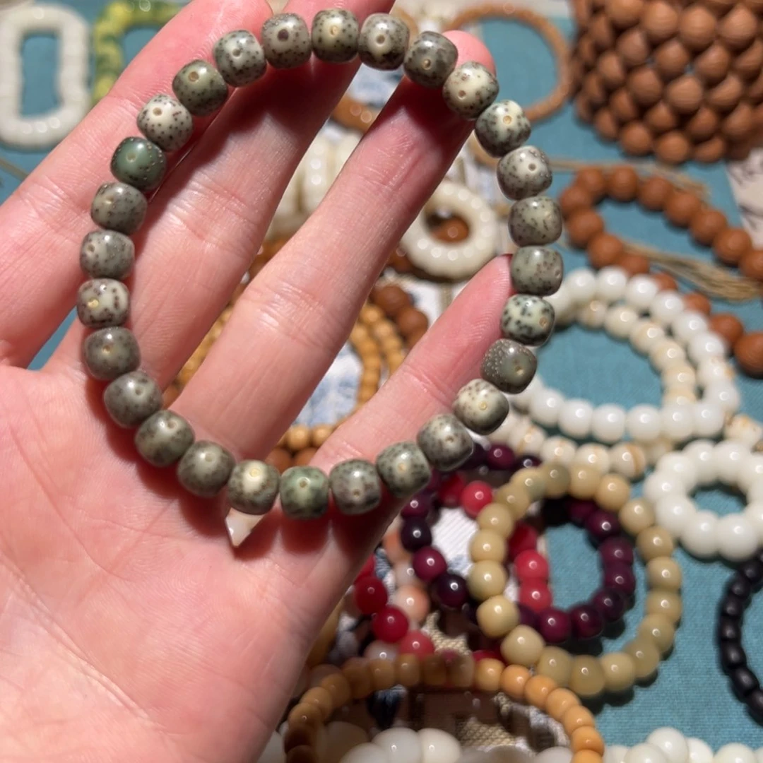 手串菩提根/象牙果?*T