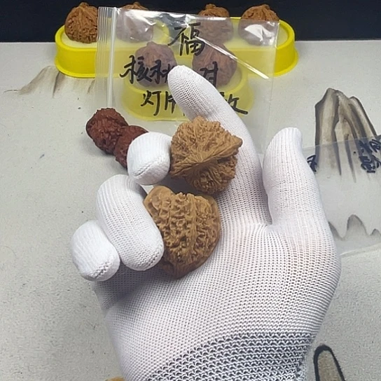 核桃核桃等经济作物的栽培技术