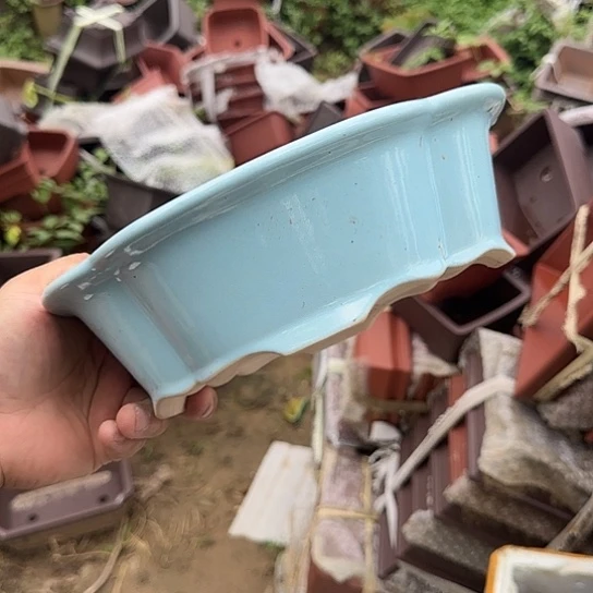 你不去上班就好的呀亲