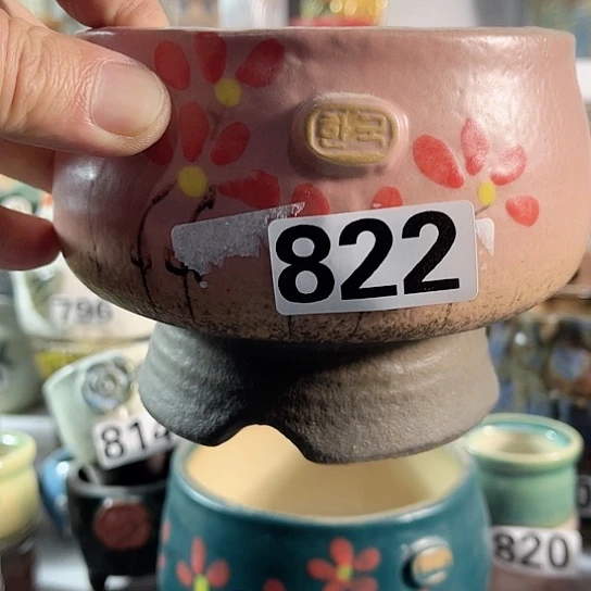 红陶多肉植物花盆