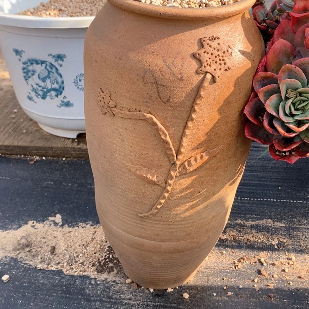 ～***～多肉植物盆1个