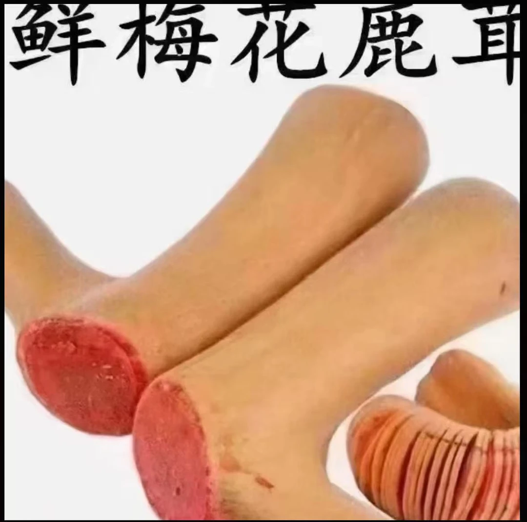 【茸红】鹿产品，东北鹿乡直发，以直播间实物为准。