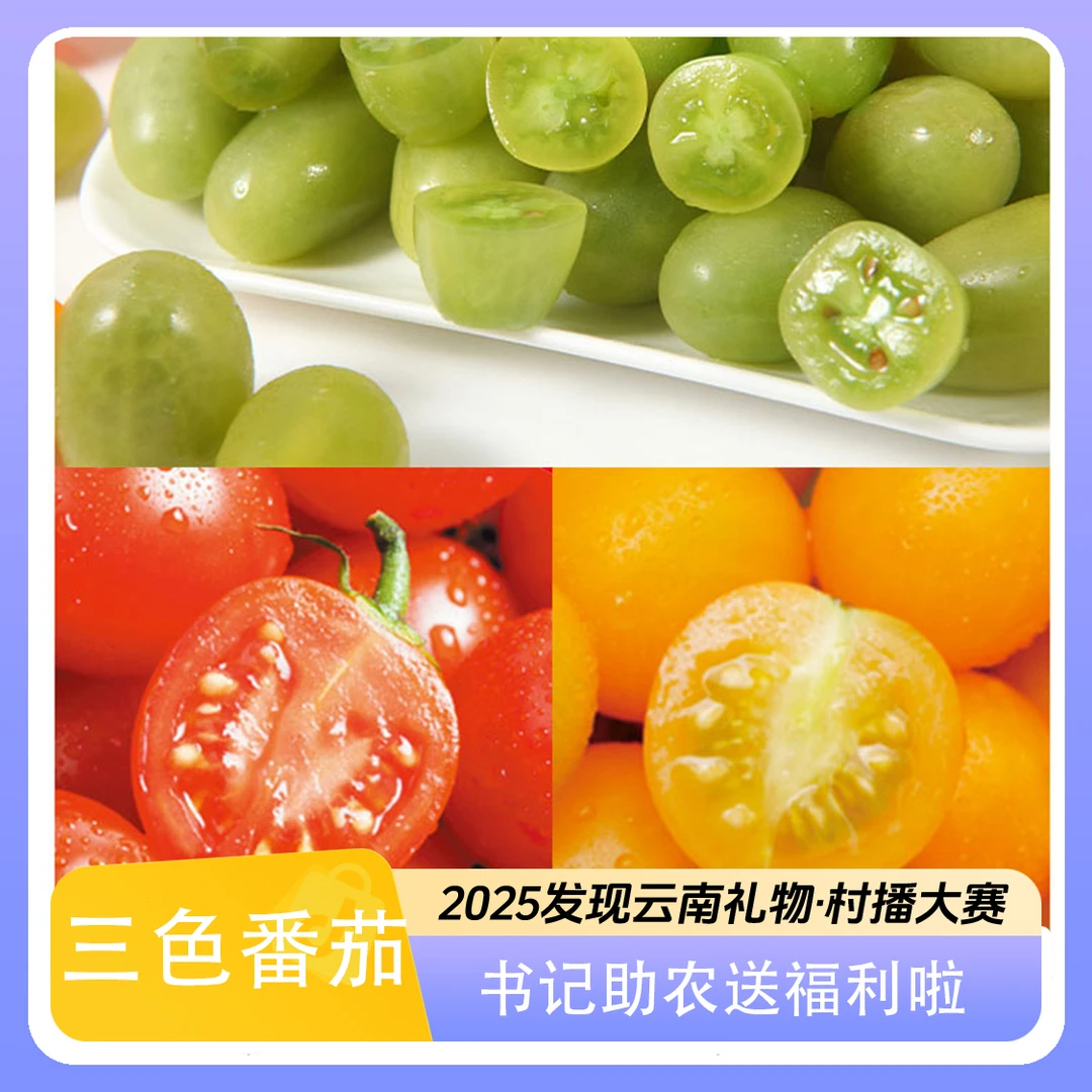 云南大理三色小番茄清甜多汁
