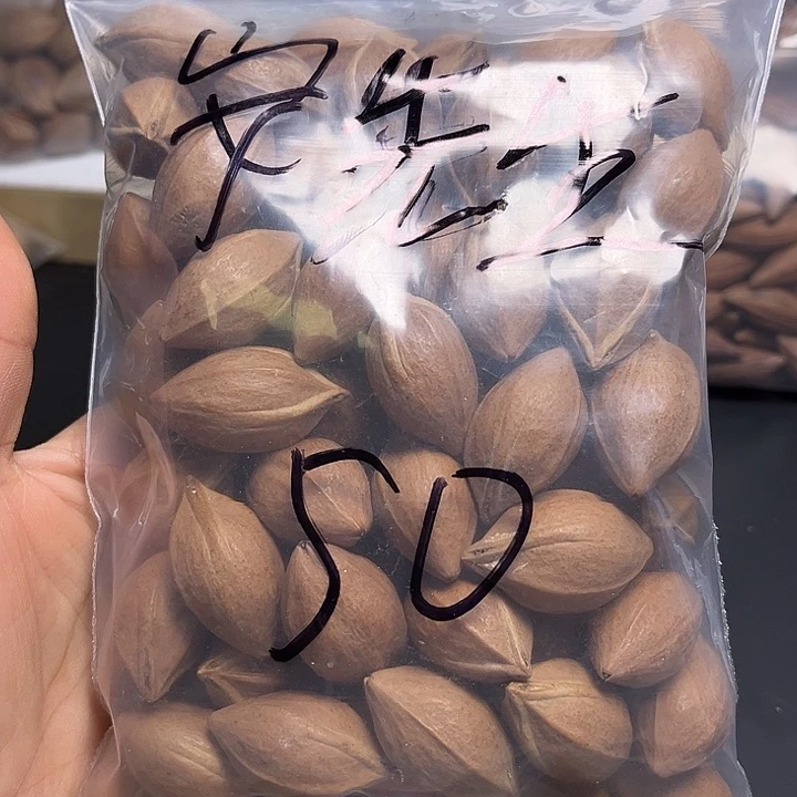 安***生手串/手链橄榄核111