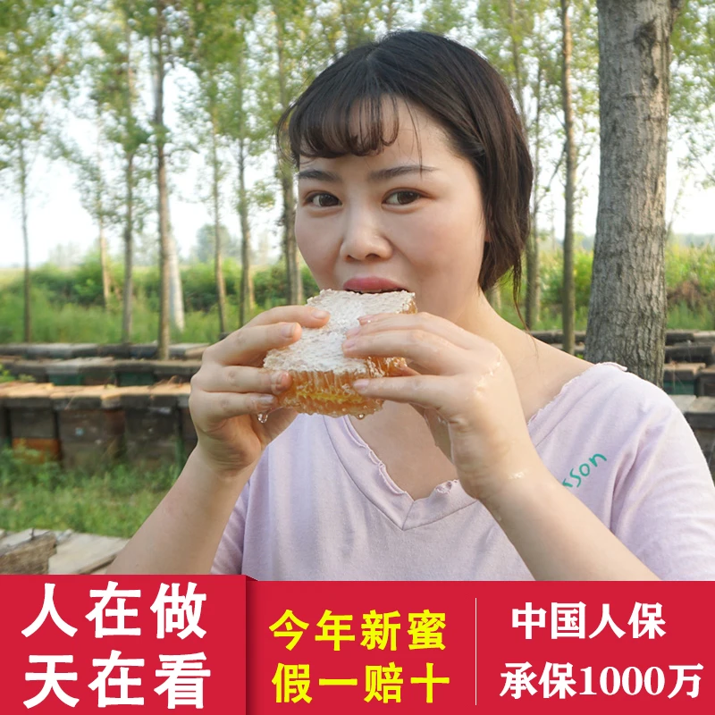 2025年新蜜 嚼着吃的蜂巢蜜超美味 荆花巢蜜 天花板500g