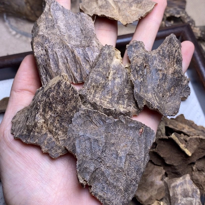 【闪购商品】香榧木海南10克