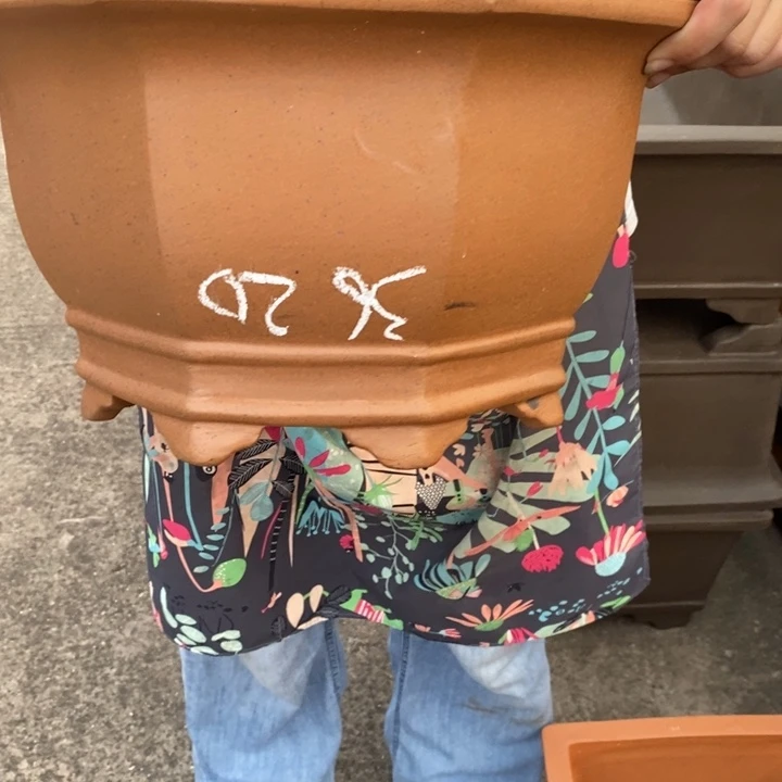 花盆紫砂自己的号主任