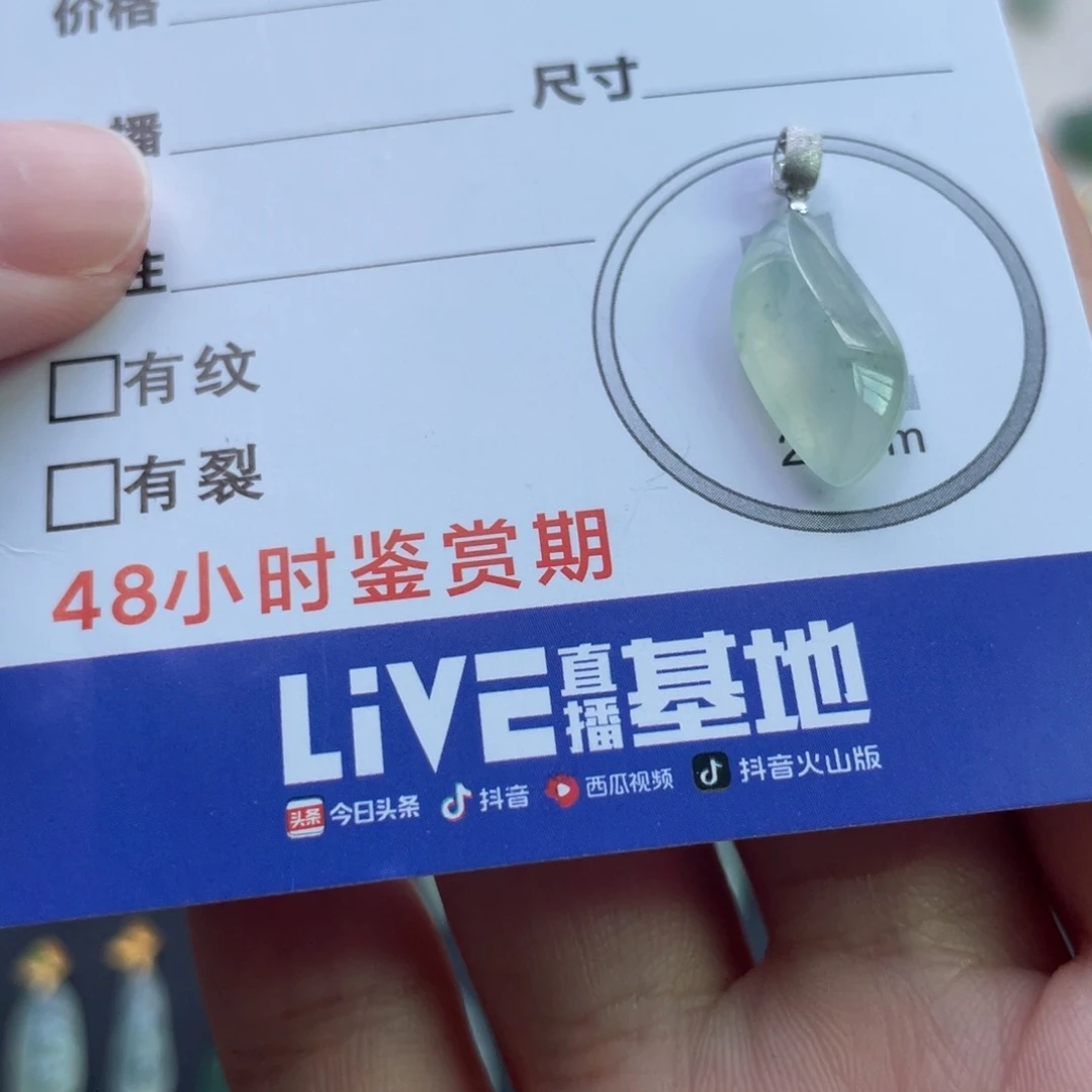 颈饰未镶嵌翡翠金扣随行