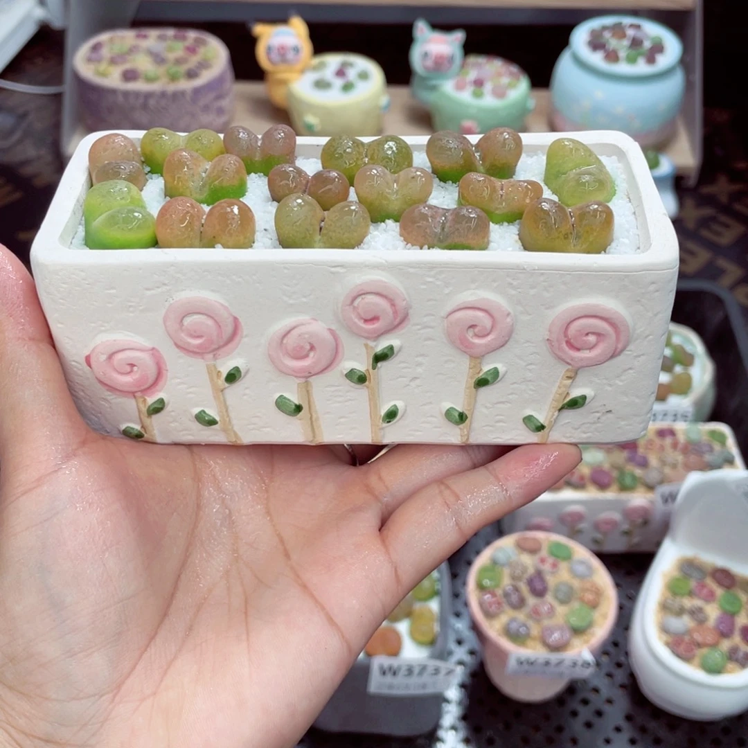 w3745 带盆土发货一物一拍