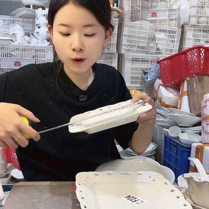 碟微瑕产品………F224两个