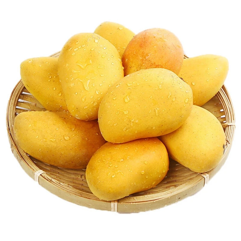 D小台芒2斤/份