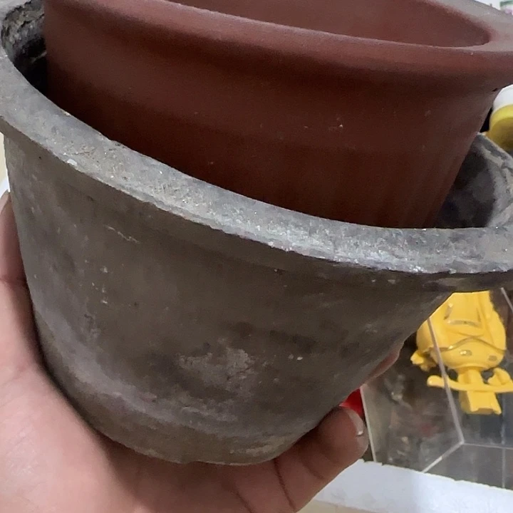 心***水扇子fughvvvvvvvbvbv