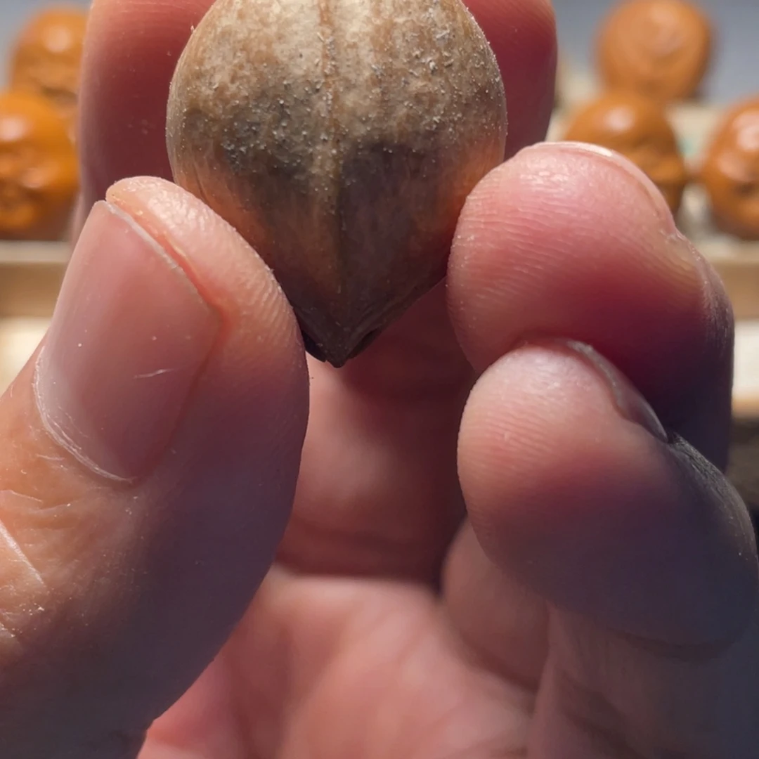 手串/手链橄榄核练手素核随机发货