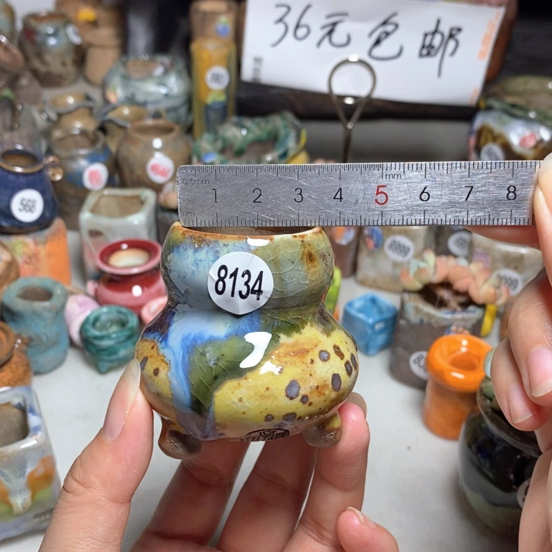 拍5送一个小礼物