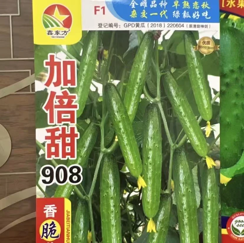 【加倍甜908黄瓜种子】四季种植盆栽地栽阳台小院种植