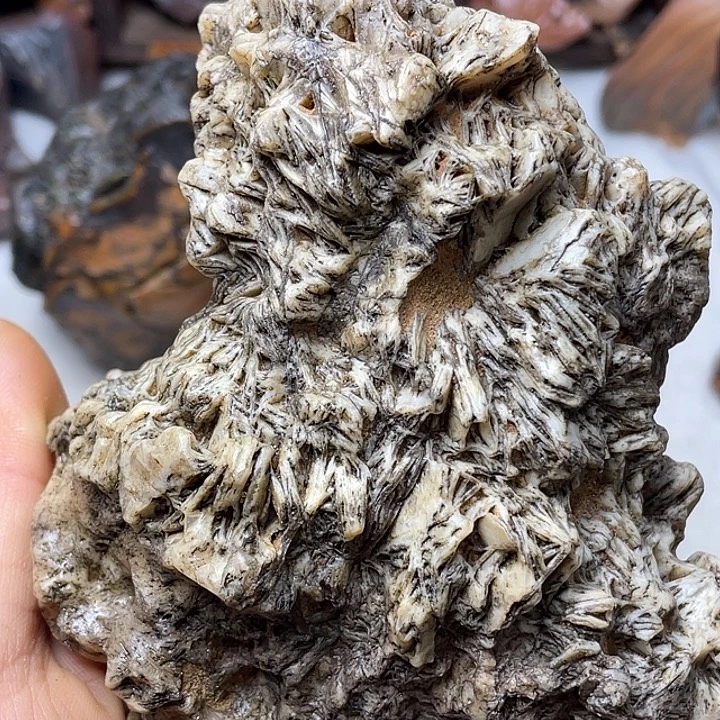 黄***下石材戈壁牧民美石原石