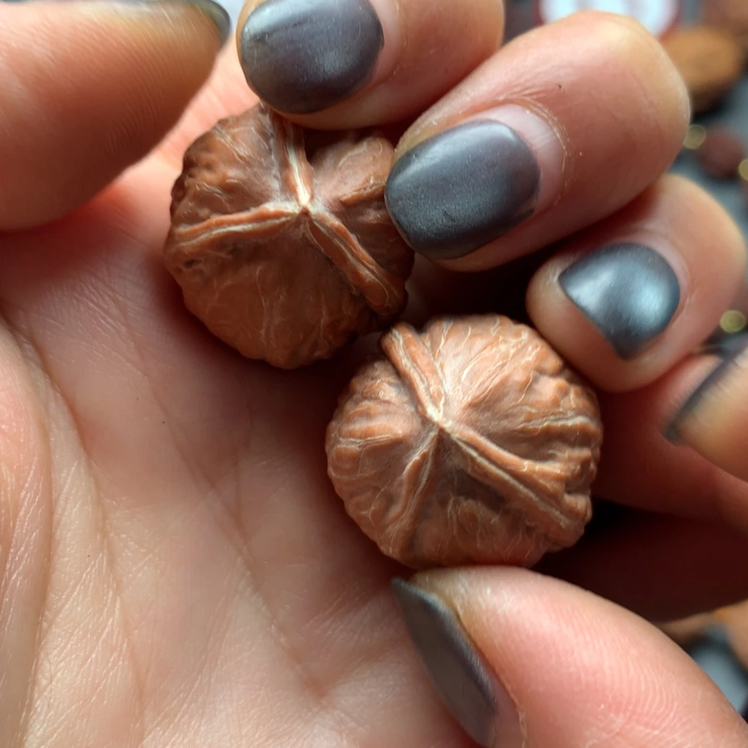 核桃12东北秋子三棱小的