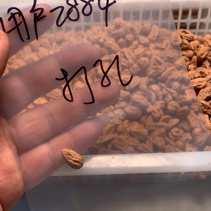 用***4文玩核桃吊坠野生精品小核桃散籽