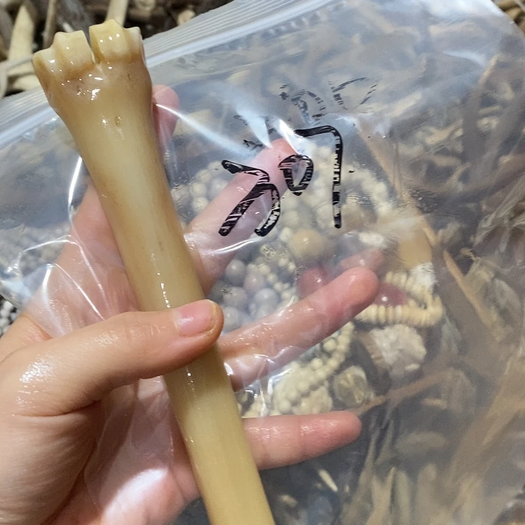 邊***）非金属鹿骨鹿骨鹿骨