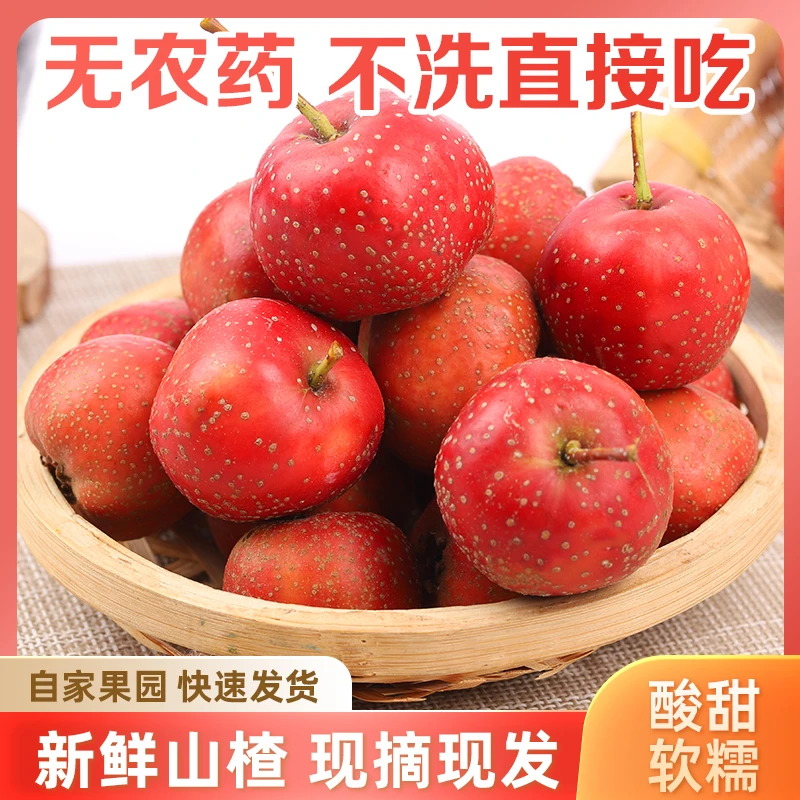 新鲜山楂大金星冰糖葫芦原料生鲜水果坏果包赔山楂鲜果
