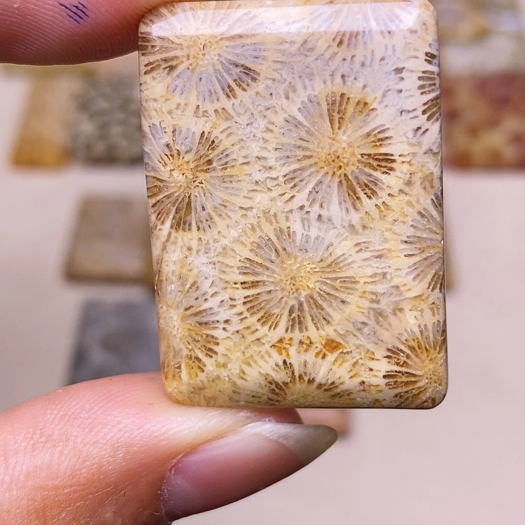 甄***儿硅化玉合金珊瑚玉