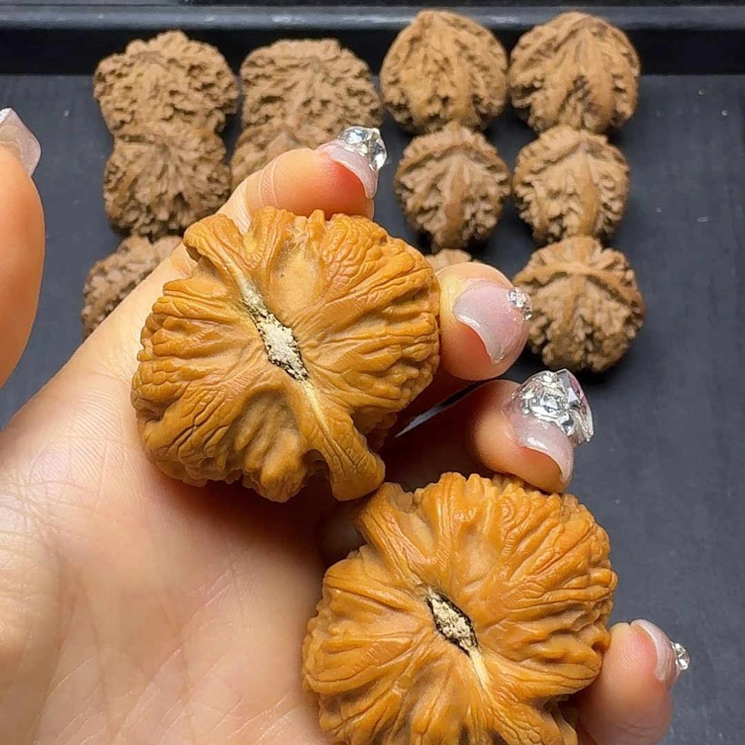 C***G桃木突突突突突突