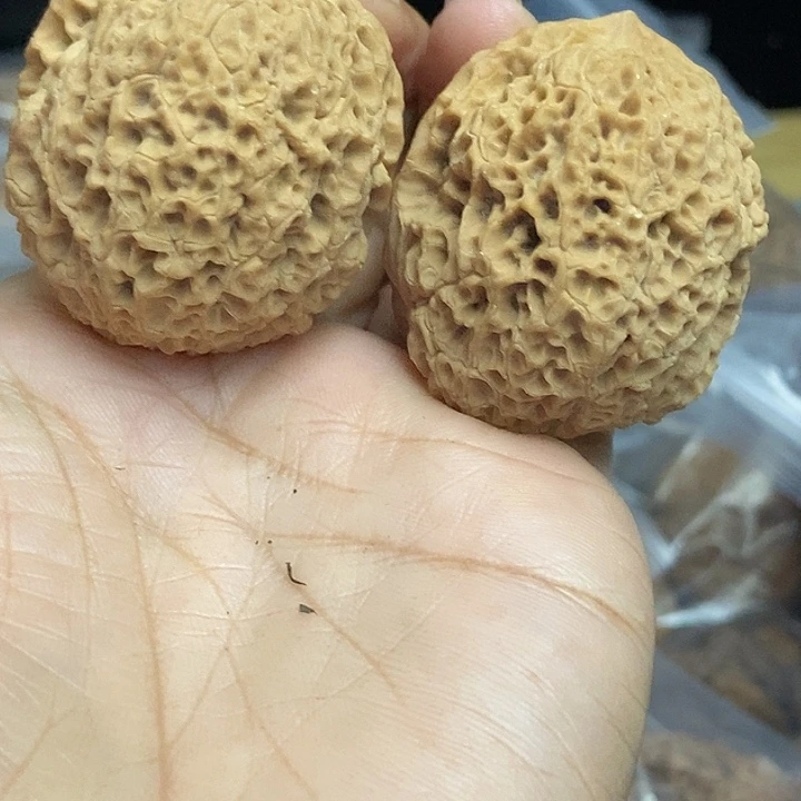 木质类云南铁核桃基地61