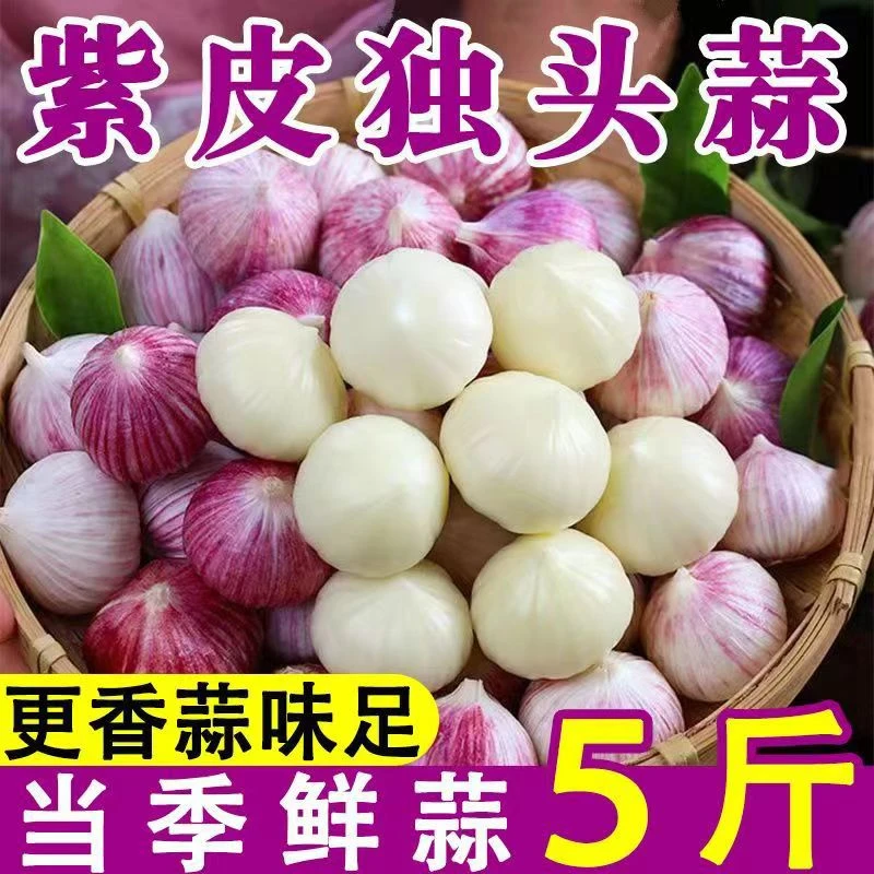 【新晒干蒜】紫皮独头蒜新鲜独蒜子紫皮大蒜正宗紫皮独蒜大头蒜包邮