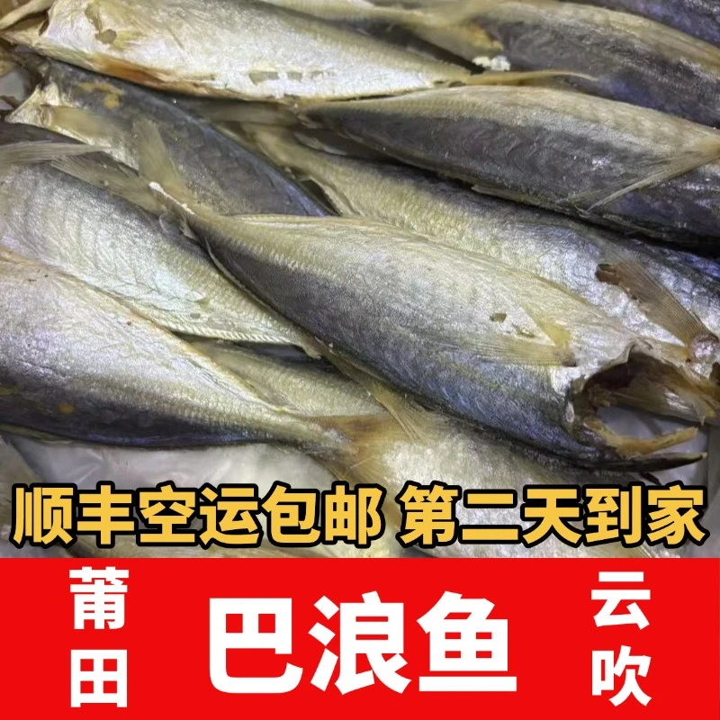 巴浪鱼干（云吹）顺丰空运包邮-福建莆田特产
