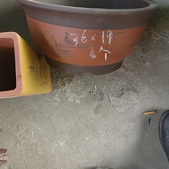 紫砂花盆宜兴花盆