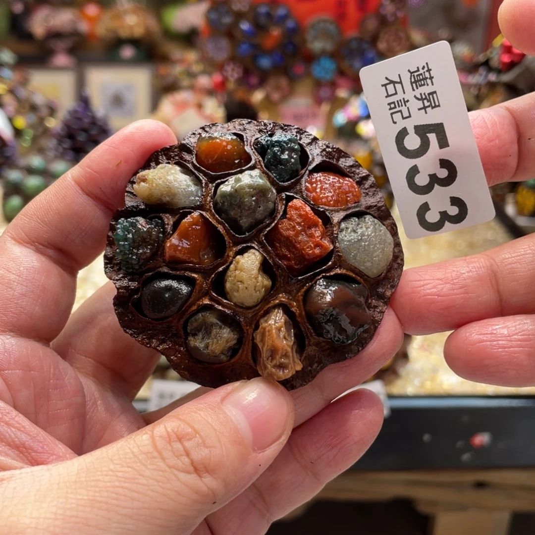 核桃木/黑胡桃（胡桃木）533