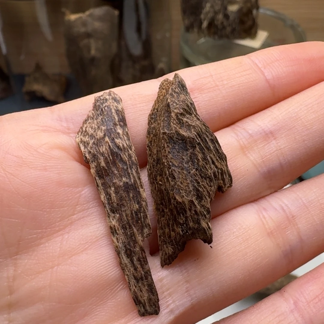 木海南尖峰岭沉水鹧鸪斑1克